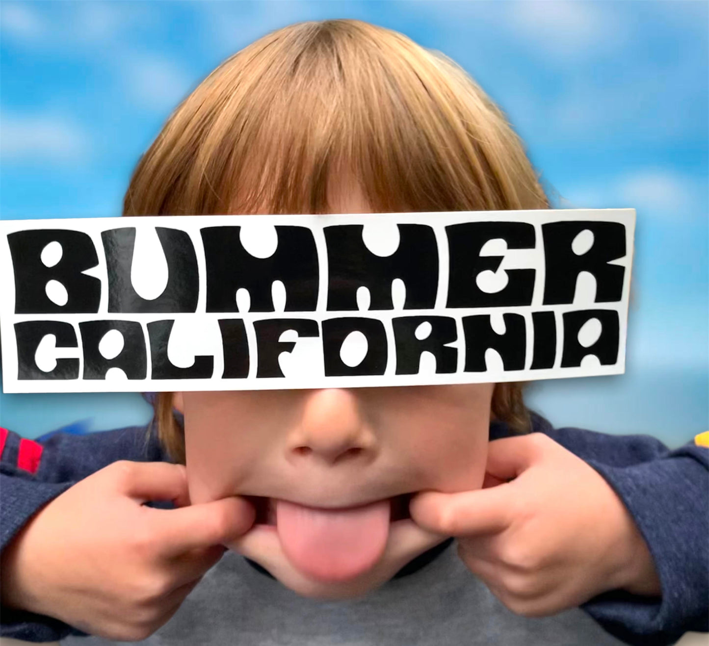 BUMMER CALIFORNIA 2-PACK STICKERS
